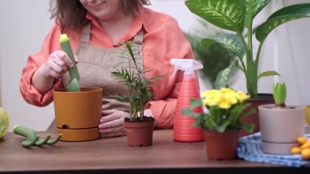 정원사 집에서 식물을 재배하기 토양에 비료를 마무리 짓는다 — 비디오
