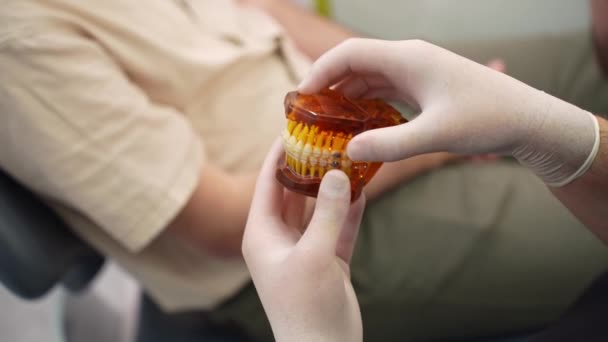 Стоматолог Окулярах Показує Штучні Людські Щелепи Зубними Брекетами Корекції Зубів — стокове відео
