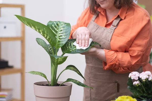 stock image Embrace the beauty of nature by engaging in home gardening, where you can learn to care for plants and watch them flourish with your love and attention. 