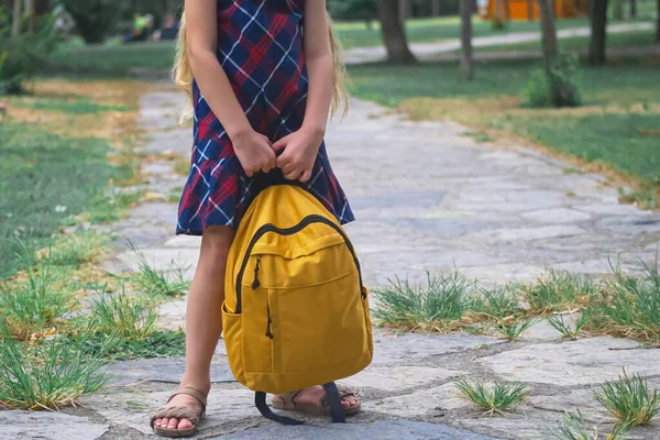Uczennica Kolorowe Sukienki Stoi Ścieżce Płytki Jesiennym Parku Gospodarstwa Duży — Zdjęcie stockowe