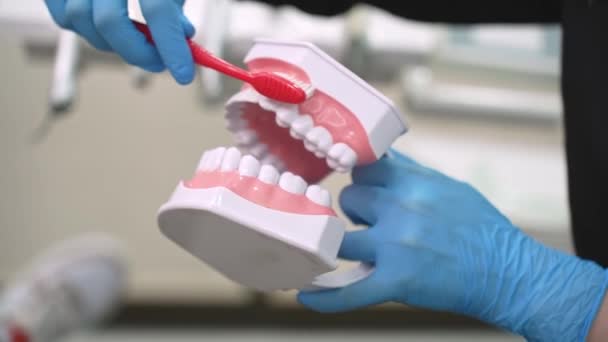 Zahnarzt Mit Blauen Latex Handschuhen Bringt Dem Patienten Bei Die — Stockvideo