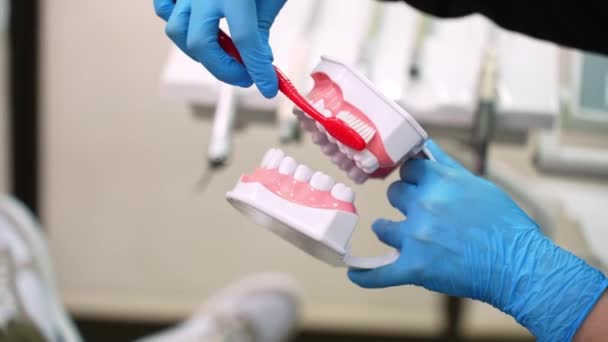 Skicklig Tandläkare Handskar Som Förklarar Tandborstning För Barn Vid Hälsolektion — Stockvideo