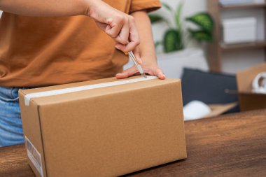 Hassas boks: Genç bir kadın, çevrimiçi bir alışveriş karton kutusunun içeriğini gösteren bir maket paketi açmak için bir bıçak kullanıyor. 