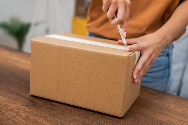 Genç bir bayan eve teslim edilmiş bir hazineyi ortaya çıkarmak için ustalıkla bıçak kullanıyor. Online alışveriş paketinin karton kutusunu dilimliyor.. 