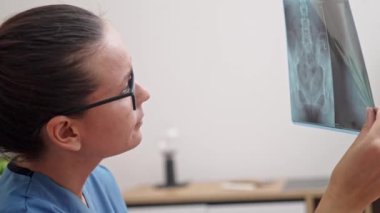 Genç doktor hastanın röntgen görüntülerini inceliyor. Yan görüş kadın sıhhiye modern klinikteki bulanık arka plan çalışmaları üzerine ofisinde oturan muayene verileriyle çalışıyor.