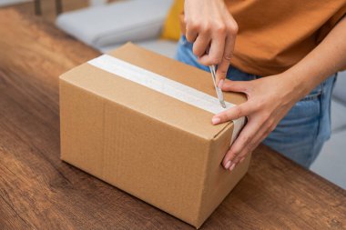 Zarif genç kız, değerli online alışveriş paketini bir karton kozadan çıkarıp, evine zarafet katmak için bir alet bıçağı kullanıyor..