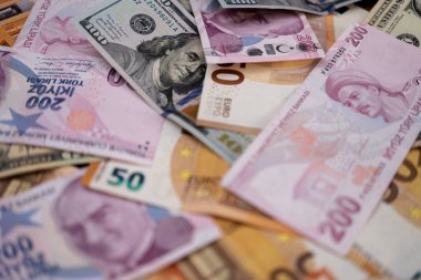 Masaya konan Türk lirası ve dolar banknotları, birincil rezerv para birimine yüksek enflasyonla dalgalı para birimi konseptini gözler önüne seriyor
