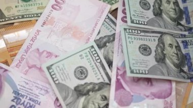 Türk lira banknotları, yüksek enflasyon oranlarının daha sağlam para birimlerine karşı lira değerini hızla düşürdüğünün altını çizerek dolar ve avroya karışmış durumda.