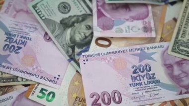 Masada Türk lirasının yanı sıra dolar ve avro banknotları, yüksek enflasyonun daha istikrarlı para birimlerine kıyasla liranın değerini düşürdüğünü gösteriyor