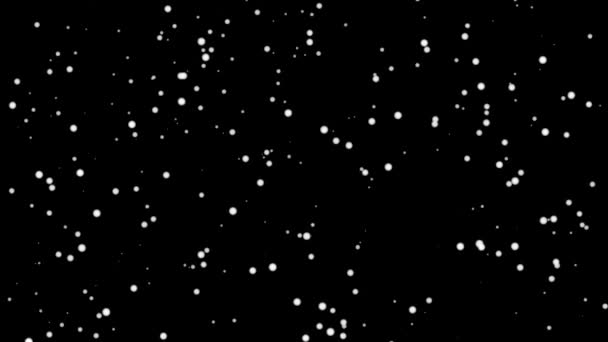 Neve Invernale Animazione Nevicata Sfondo Nero Fiocchi Neve Bokeh Loop — Video Stock
