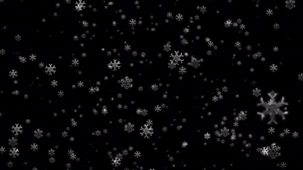 Animacja Wideo Spadających Płatków Śniegu Czarnym Tle Streszczenie Ruchome Tło — Wideo stockowe