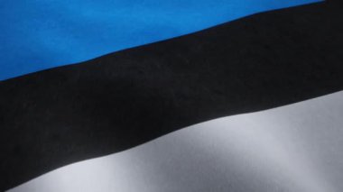 Kusursuz bir döngü içinde dalgalanan Estonya ulusal bayrağının video animasyonu.