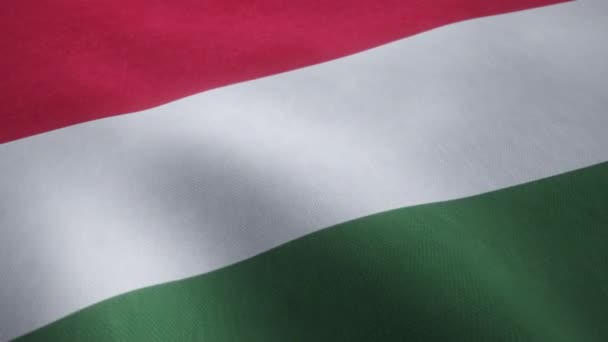 Animação Vídeo Uma Bandeira Nacional Húngara Acenando Loop Sem Costura — Vídeo de Stock