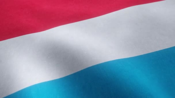 원활한 루프에서 룩셈부르크 국기의 흔들리는 비디오 애니메이션 — 비디오