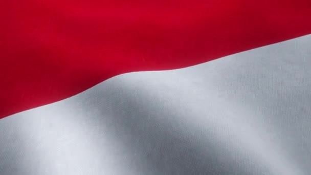 Videoanimering Viftande Monegaskisk Nationalflagga Sömlös Loop — Stockvideo