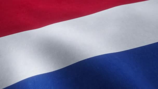 Βίντεο Κινούμενο Σχέδιο Της Ολλανδικής Εθνικής Σημαίας Που Κυματίζει Αδιάλειπτη — Αρχείο Βίντεο