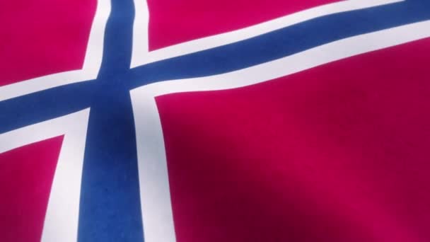 Video Animatie Van Een Golvende Noorse Nationale Vlag Een Naadloze — Stockvideo