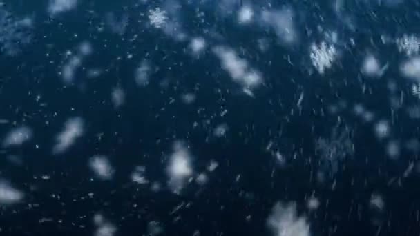 Animação Espetacular Flocos Neve Queda Tempestade Neve Com Vento Rápido — Vídeo de Stock