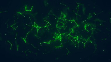 Bir virüsün bulaşıcı yapısı, biyolojik silahların tehlikeleri.