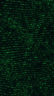 Parlayan yeşil blokların dikey animasyonu koyu arkaplanda dijital veri şebekesi oluşturuyor. Siber güvenlik ya da matris, 4K içinde dikey canlandırma.