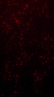 Kırmızı parlayan parçacıklar, yıldız alanı arkaplanı, 4 'te uzay animasyonu, dikey video