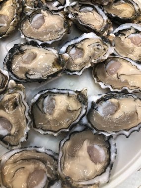 Lezzetli taze ve kaliteli istiridye.