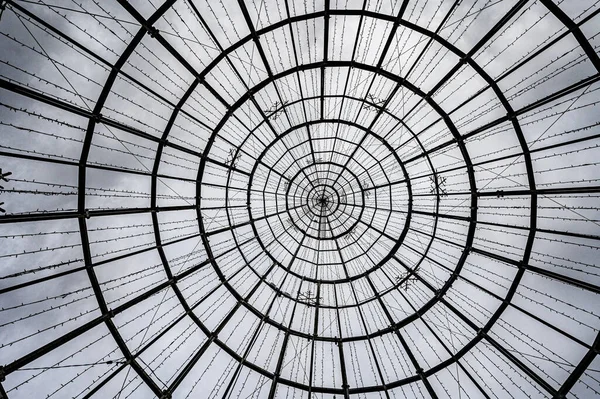 Ornate Geometrische Cirkel Vormige Plafond — Stockfoto