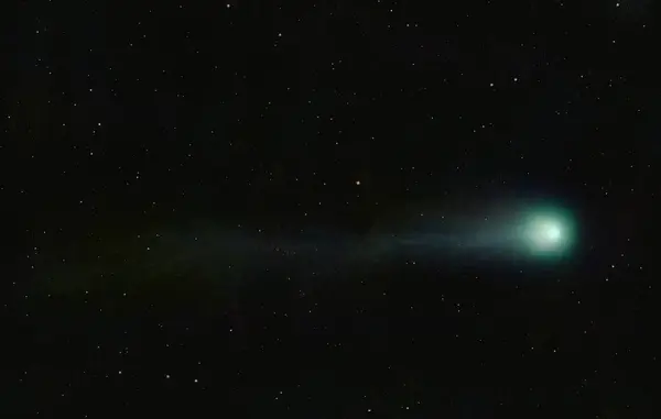 Неандертальська Комета Проходить Між Зірками Пиловим Хвостом Ліцензійні Стокові Зображення