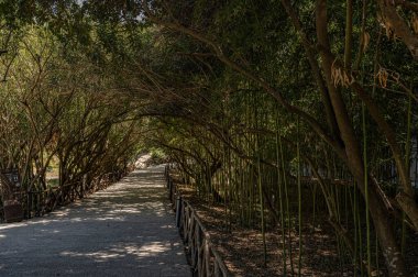 Sabahları parkın manzarası.