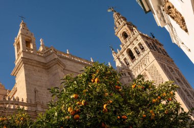 Seville Katedrali ve Giralda Kulesi Sevilla, İspanya 'da Güzel Güneşli Gün sırasında