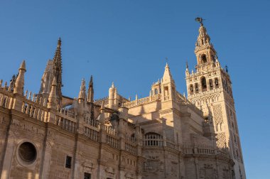 Seville Katedrali Gündüz Dış Görünümü. İspanya 