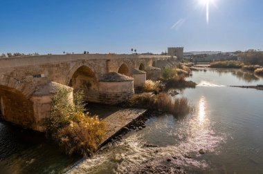 Cordoba, Endülüs, İspanya 'daki tarihi Puente Romano ve La Mezquita Katedrali' nin manzarası