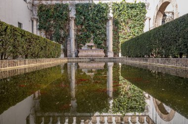 Endülüs, İspanya 'daki Seville Alcazar bahçeleri