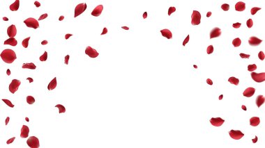 Sevgililer Günü 'nde romantik afişler için kırmızı aşk sembolleri ya da kırmızı gül yaprakları soyut çiçek arkaplanına harika bir gül tebrik kartı tasarımına sahip olacak. şeffaf arkaplan