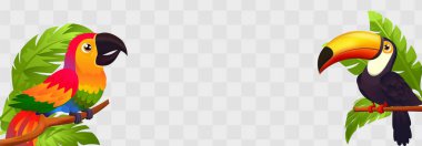 Bir dalda papağan ve tukan kuşu. Vektör illüstrasyonu şeffaf arkaplanda izole edildi.