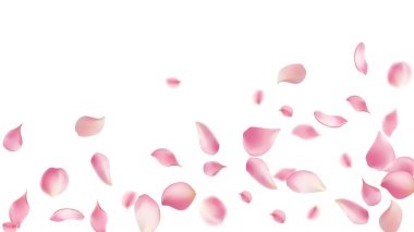 Pembe gül yaprakları soyut çiçek arkaplanına düşer. Muhteşem gül yapraklı tebrik kartı tasarımı, çiçek açan arka plan, kiraz çiçeği.