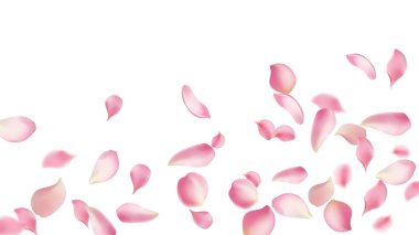 Gül yaprakları ya da uçan sakura yaprakları, gerçekçi pembe kiraz yapraklarının aktığı ya da düştüğü romantik bir arka plan. Aşk, romantizm, çiçek bahar mevsimi, kiraz çiçeği