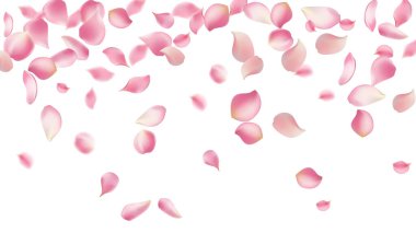 Pembe gül yaprakları soyut çiçek arkaplanına düşer. Muhteşem gül yapraklı tebrik kartı tasarımı, çiçek açan arka plan, kiraz çiçeği.