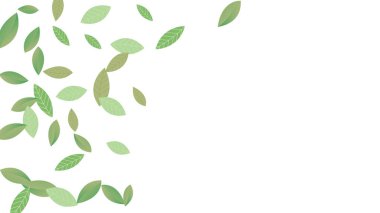  Geriye Taze Vektör Beyaz Arkaplan Şubesi kalıyor. Gerçekçi Yaprak Bitkisi. Yeşil Yaprak Soyut Duvar Kağıdı. Yeşiller organik, yeşil uçan yapraklar, doğa da...