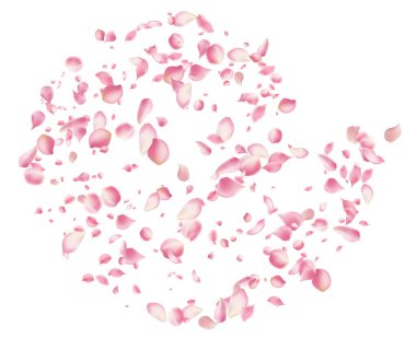 Pembe gül yaprakları soyut çiçek arkaplanına düşer. Muhteşem gül yapraklı tebrik kartı tasarımı, çiçek açan arka plan, kiraz çiçeği.