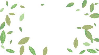  Geriye Taze Vektör Beyaz Arkaplan Şubesi kalıyor. Gerçekçi Yaprak Bitkisi. Yeşil Yaprak Soyut Duvar Kağıdı. Yeşiller organik, yeşil uçan yapraklar, doğa da...