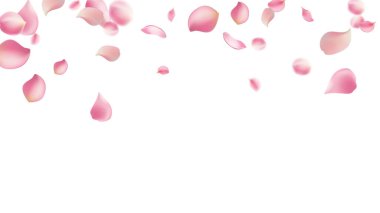 Gül yaprakları ya da uçan sakura yaprakları, gerçekçi pembe kiraz yapraklarının aktığı ya da düştüğü romantik bir arka plan. Aşk, romantizm, çiçek bahar mevsimi, kiraz çiçeği