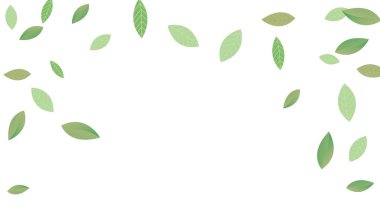  Geriye Taze Vektör Beyaz Arkaplan Şubesi kalıyor. Gerçekçi Yaprak Bitkisi. Yeşil Yaprak Soyut Duvar Kağıdı. Yeşiller organik, yeşil uçan yapraklar, doğa da...