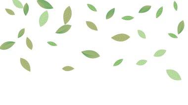 Geriye Vektör Beyaz Arkaplan Çizimi kalıyor. Taze Yeşiller Şablonu. Grassy Leaf Broşürü, yeşil uçan yapraklar, doğa.