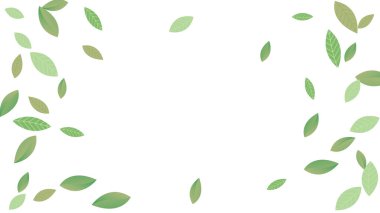  Geriye Taze Vektör Beyaz Arkaplan Şubesi kalıyor. Gerçekçi Yaprak Bitkisi. Yeşil Yaprak Soyut Duvar Kağıdı. Yeşiller organik, yeşil uçan yapraklar, doğa da...