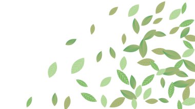 Geriye Vektör Beyaz Arkaplan Çizimi kalıyor. Taze Yeşiller Şablonu. Grassy Leaf Broşürü, yeşil uçan yapraklar, doğa.