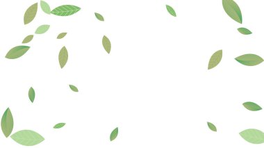 Geriye Vektör Beyaz Arkaplan Çizimi kalıyor. Taze Yeşiller Şablonu. Grassy Leaf Broşürü, yeşil uçan yapraklar, doğa.