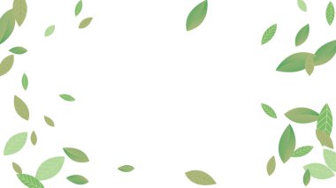 Geriye Vektör Beyaz Arkaplan Çizimi kalıyor. Taze Yeşiller Şablonu. Grassy Leaf Broşürü, yeşil uçan yapraklar, doğa.