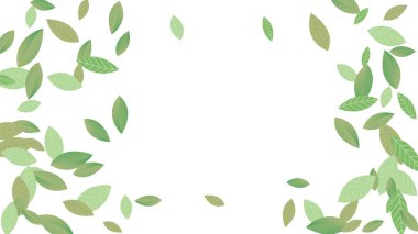 Geriye Vektör Beyaz Arkaplan Çizimi kalıyor. Taze Yeşiller Şablonu. Grassy Leaf Broşürü, yeşil uçan yapraklar, doğa.