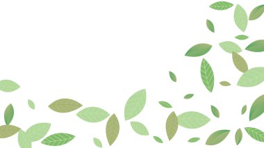 Geriye Vektör Beyaz Arkaplan Çizimi kalıyor. Taze Yeşiller Şablonu. Grassy Leaf Broşürü, yeşil uçan yapraklar, doğa.